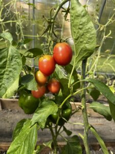 Детальніше про статтю Простір для навчання і турботи про здоров’я